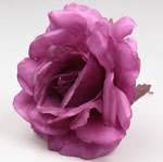 Small Rose Cadiz. 10cm. Bougainvillea 3.802€ #50419165BGNV
